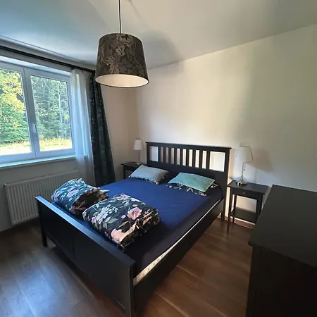 Apartment Apartman Moringa Cerny Vul